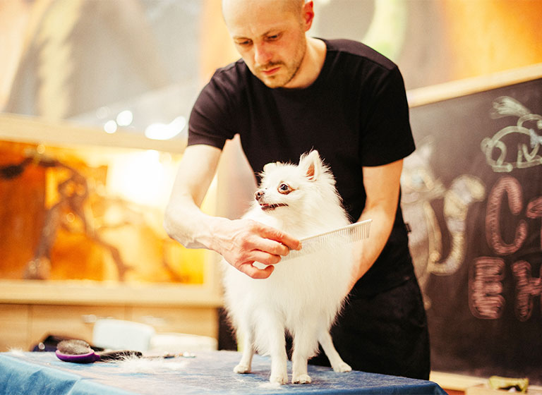 pet_07 pet_07